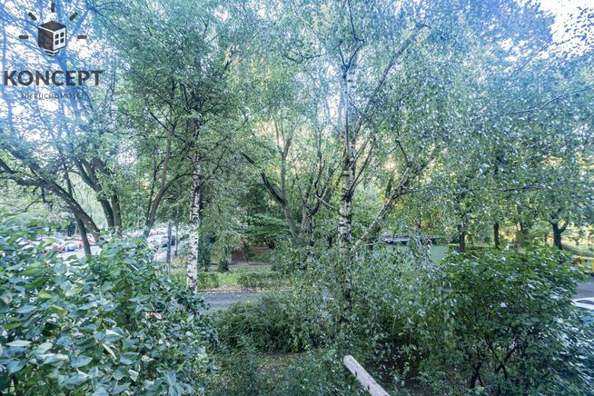 Mieszkanie na Szczepinie, 2 pokoje, rozkład