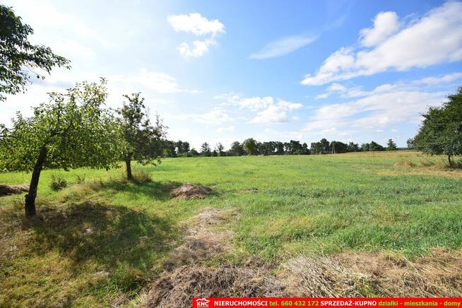 Siedlisko na działce 99a 20 minut od Lublina.