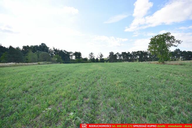 Siedlisko na działce 99a 20 minut od Lublina.