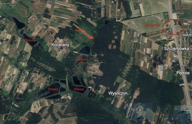 Działka z wejściem do lasu - 40 min do Warszawy