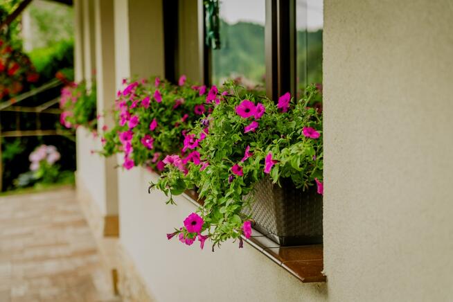 Sprzedam dom jednorodzinny