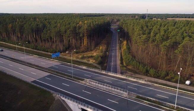 Działka inwestycyjna Strzelno gm. Pieńsk