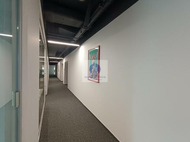 Lokal użytkowy Warszawa Śródmieście, Solec