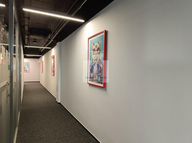 Lokal użytkowy Warszawa Śródmieście, Solec