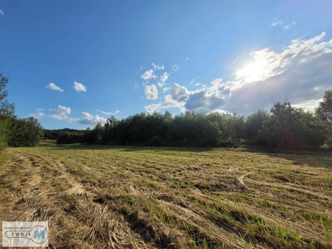 Działka rolna Masłów Masłów Drugi