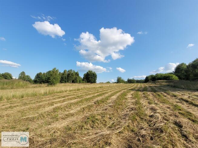 Działka rolna Masłów Masłów Drugi