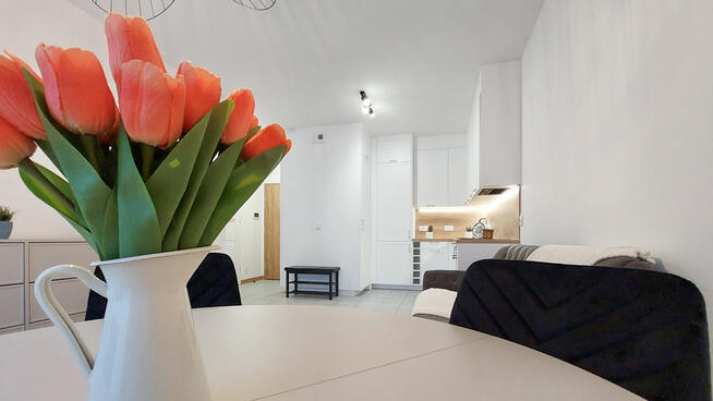 ✅Sprawdź >>> Zostań pierwszym Najemcą✅