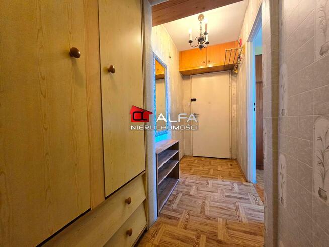 Mieszkanie Świdnica, Jałowcowa