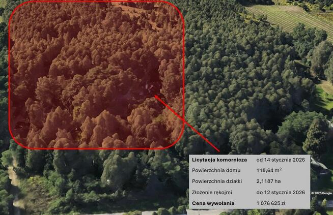 Blisko Łodzi, las, ogromna działka, licytacja komornicza