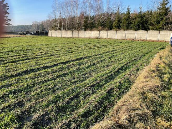 Działka budowlana 900m2 Murzynowo Leśne pozwolenie projekt