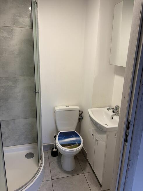 Mieszkanie w domu wolnostojacym do wynajęcia