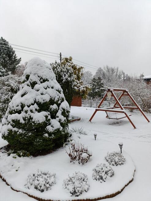 Sprzedam działkę nr 13 ROD Chylice ul Marka Grechuty