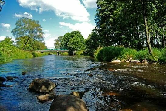 Działka rolno- budowlana z lasem