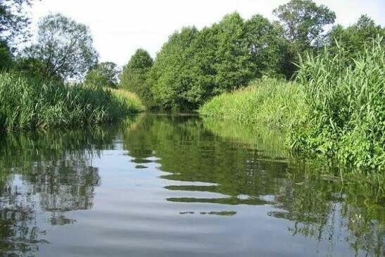 Działka rolno- budowlana z lasem