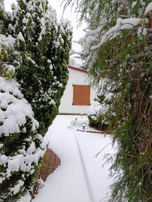 Sprzedam działkę nr 13 ROD Chylice ul Marka Grechuty