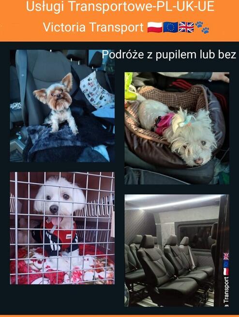 Usługi Transportowe Victoria Transport