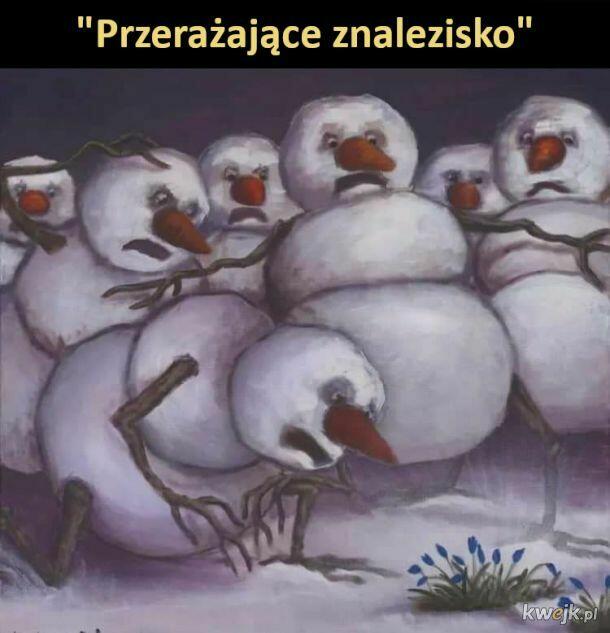 Dzień dobry ,,,