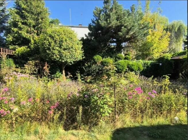 Lokal mieszkalny - Piaseczno