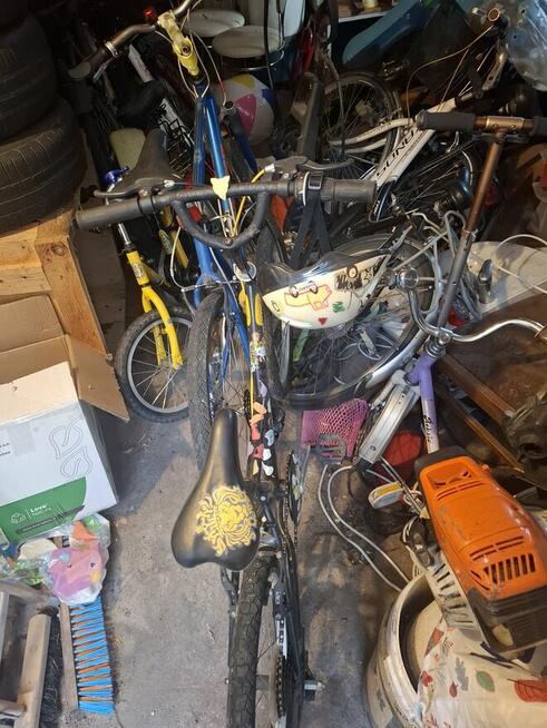 Rowery różne ranio