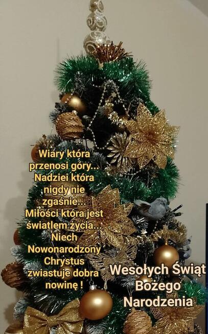 Konserwator, pracownik Techniczny Szuka pracy