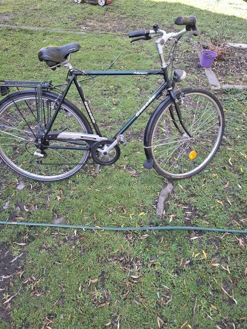 Rowery różne ranio