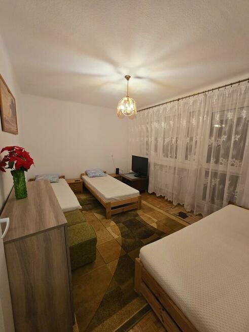 Mieszkanie do wynajęcia