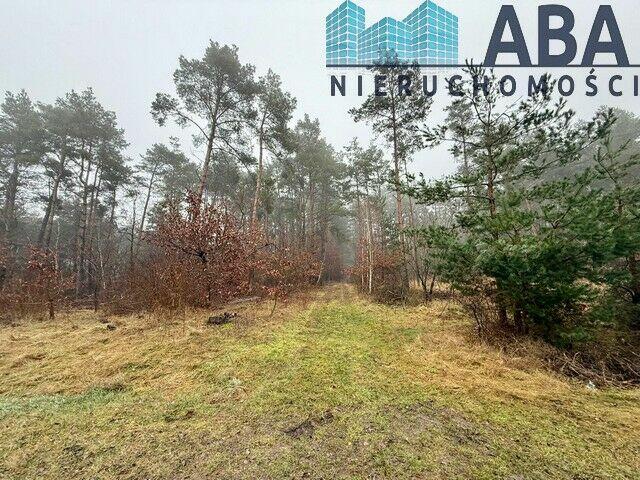 Działka na sprzedaż w Skulsku