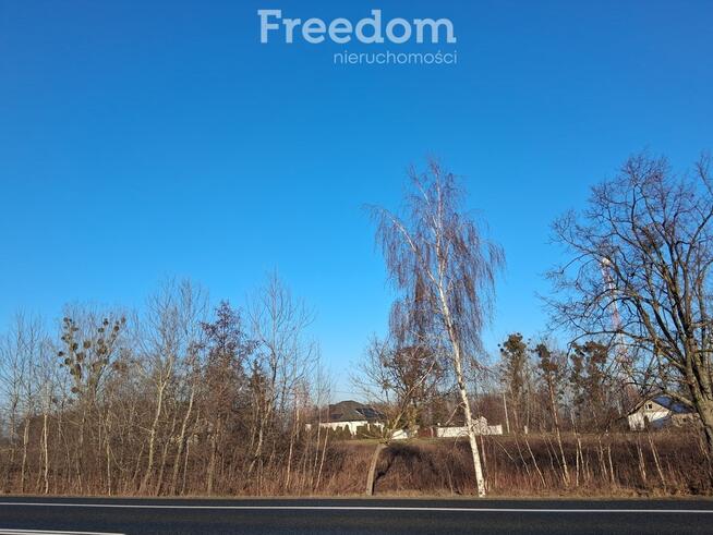 Duża działka z warunkami zabudowy w świetnej cenie