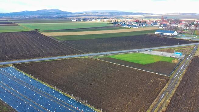 Działka 4271m² Oleszna - zabudowa zagrodowa