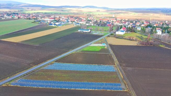 Działka 4271m² Oleszna - zabudowa zagrodowa