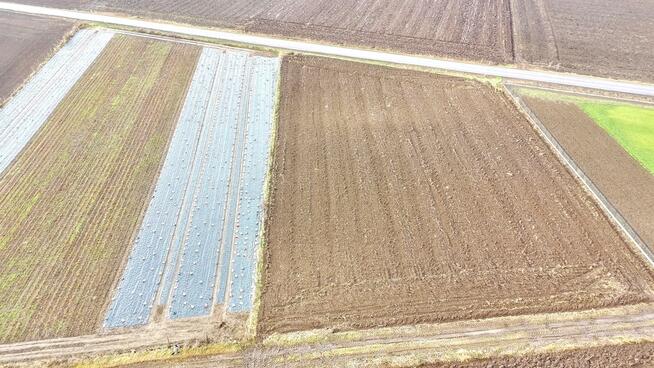 Działka 4271m² Oleszna - zabudowa zagrodowa