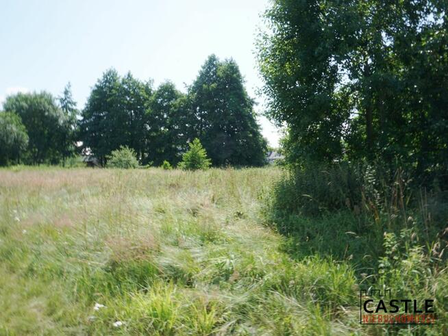 Działka inwestycyjna Sztutowo, Leśny Zakątek