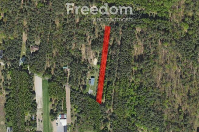 Działka rekreacyjna wśród lasów