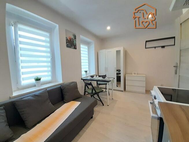 Do wynajęcia kawalerka pet friendly, Wielka 12