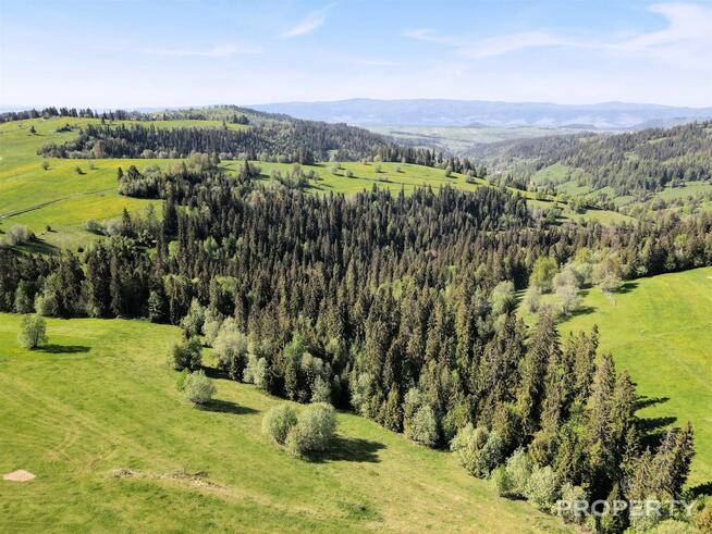 Działka rolna Łapszanka gm. Łapsze Niżne