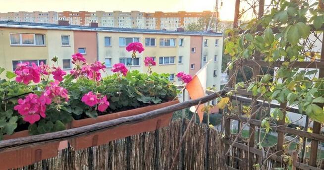 3-pokojowe mieszkanie na Bielanach