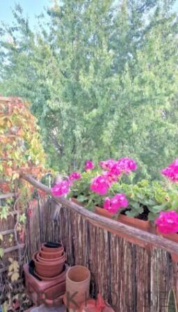 3-pokojowe mieszkanie na Bielanach