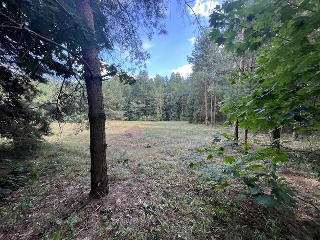 Działka budowla 3117 m2 w Kowali gm. Puławy.