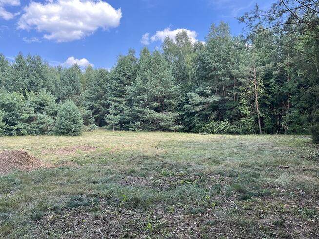 Działka budowla 3117 m2 w Kowali gm. Puławy.