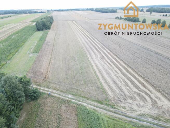 Działka rolna Białaczów Białaczów