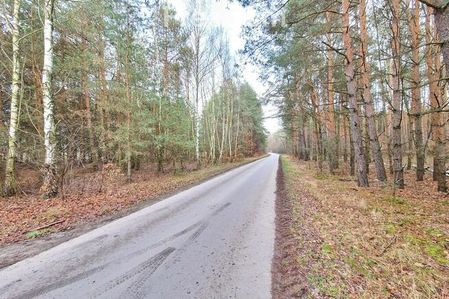 Działka leśna 6000 m2 w Mejznerzynie