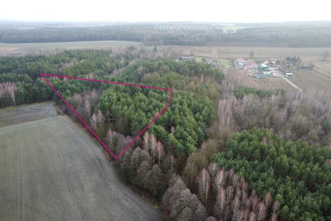 Działka leśna 6000 m2 w Mejznerzynie