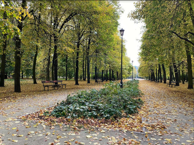 Mieszkanie Warszawa gm. Śródmieście Śródmieście, Czerniakowska