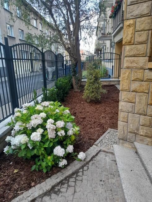 Krowodrza. Kamienica po rem. 2 pokoje. Taras