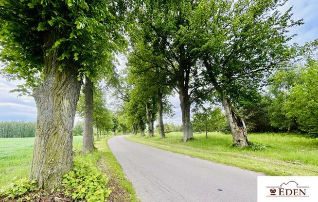 Działka budowlana Chlewiska gm. Kotuń