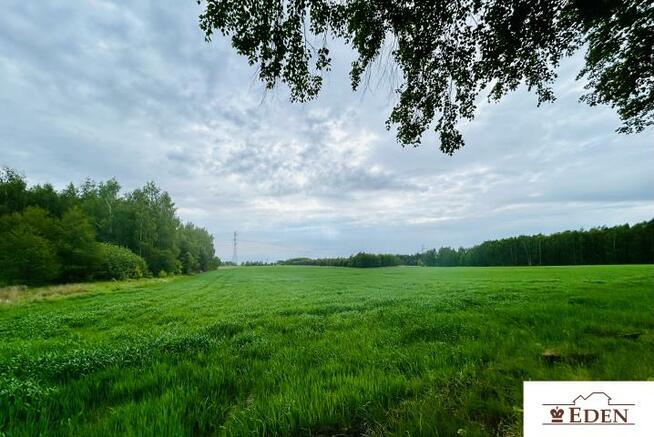 Działka budowlana Chlewiska gm. Kotuń