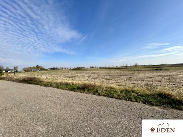 Działka rolno-budowlana Tończa gm. Liw