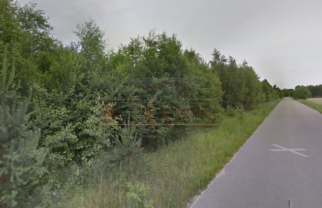 Działka leśna Klimki gm. Łuków