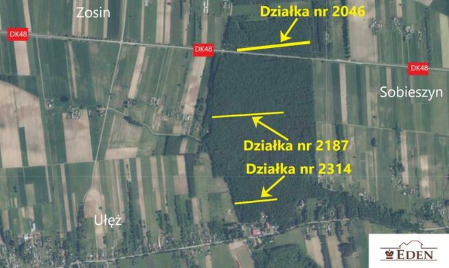 Działka leśna Ułęż