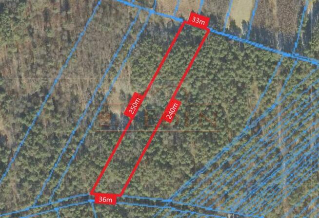 Działka leśna Łuków Zimna Woda